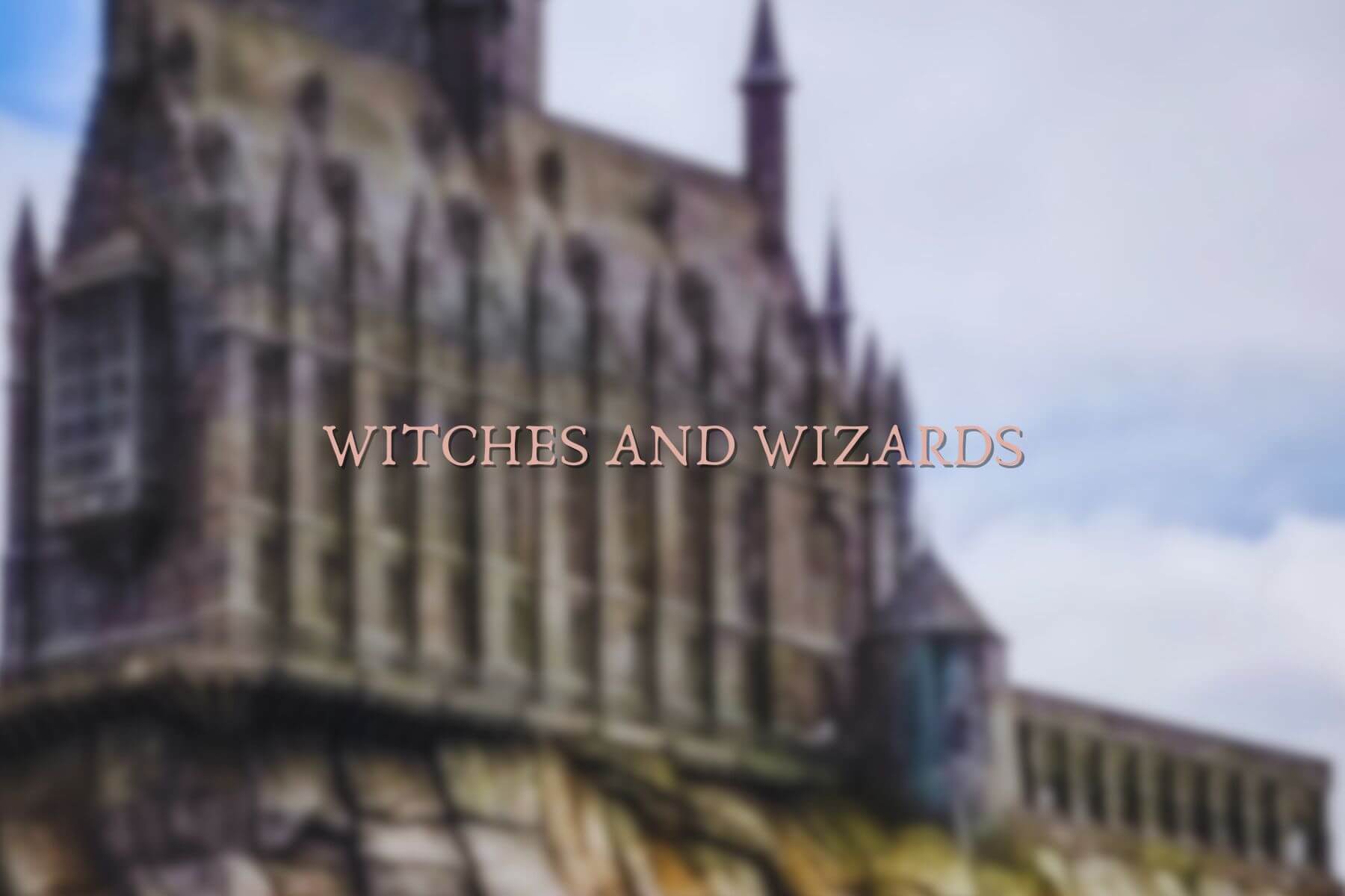Witches and Wizards - Readers and Dreamers Shop