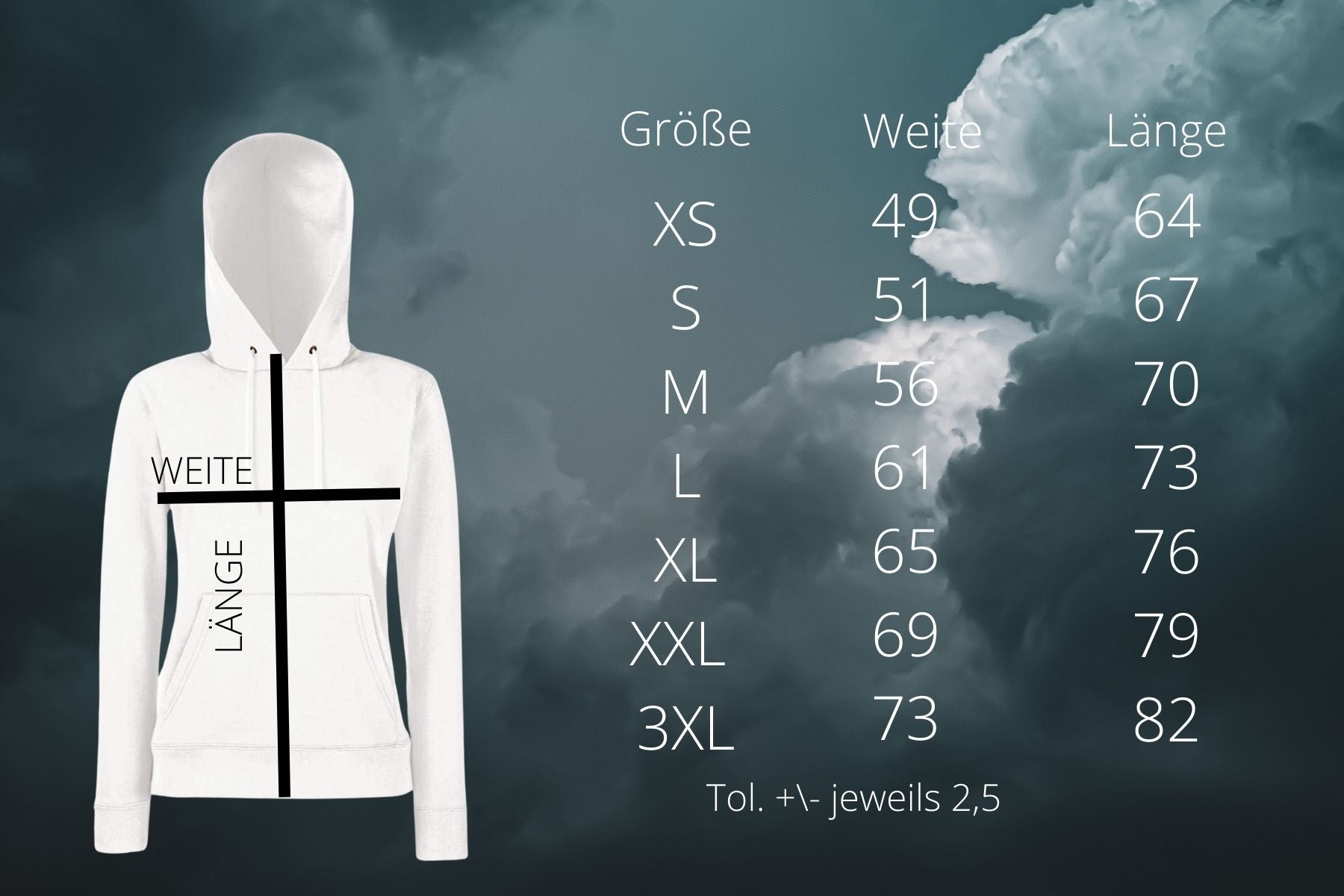 Basgiath Riders Quadrant Überproduktion Hoodie Weiß 3XL - Readers and Dreamers Shop