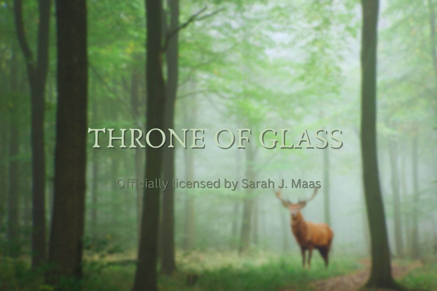 Throne of Glass - Readers and Dreamers Shop