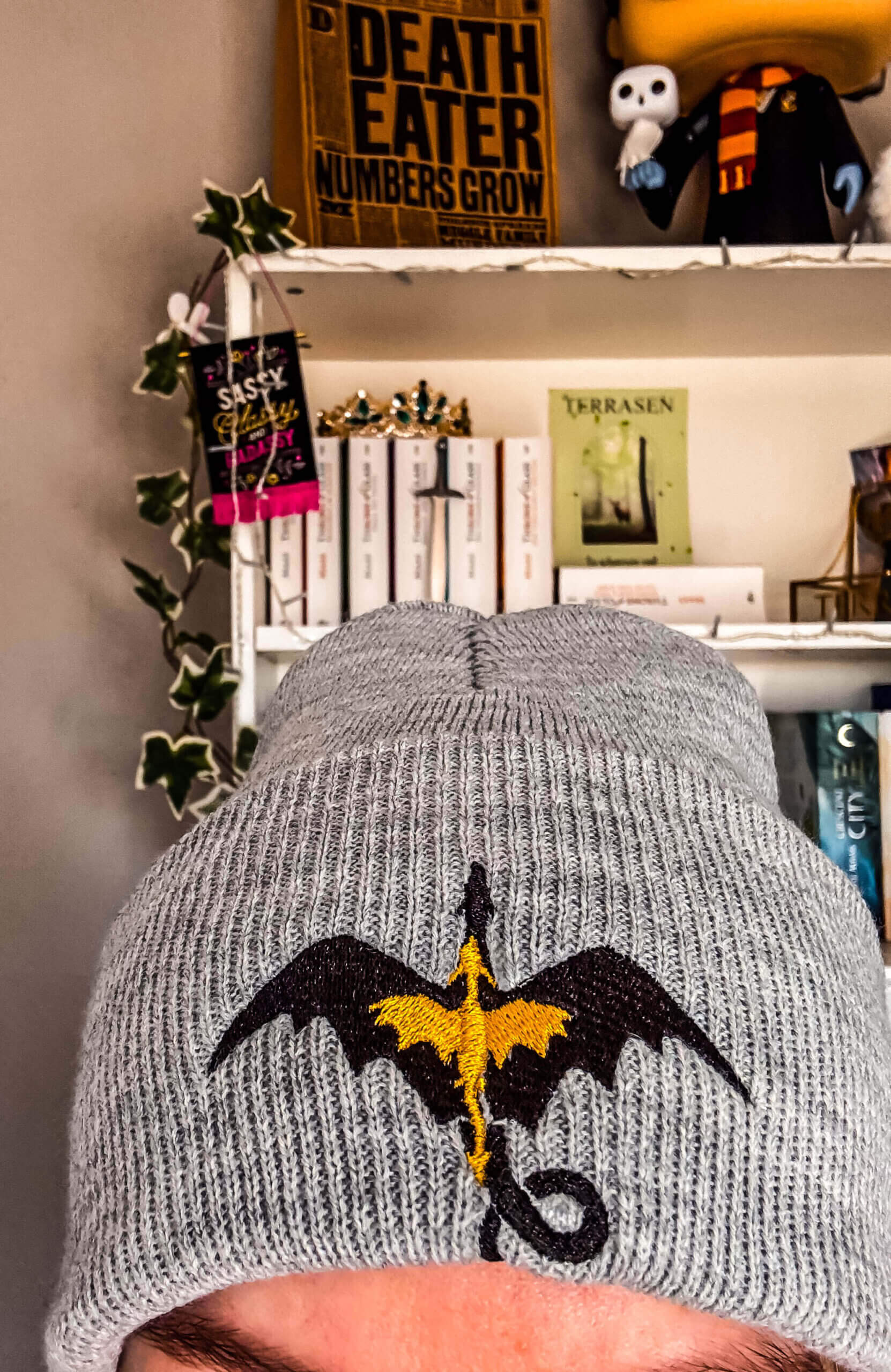 Tairn und Andarna Beanie Grau weiter hinten aufgestickt - Readers and Dreamers Shop